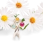 Preview: Silberring "Gerlinde"